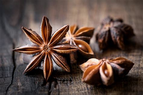 Star Anise Badiana Oriental Spices Ruca 50 Arab Home Decor