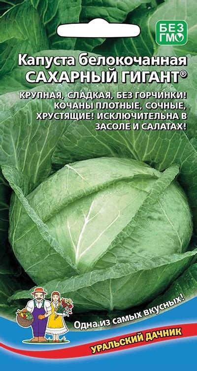КАПУСТА — Семена для Сибири