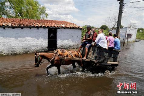 巴拉圭首都暴雨致洪灾 民众乘马车穿过积水