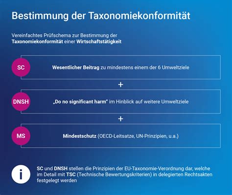 EU Taxonomie Erfolgreich Umsetzen Einblicke Und Tipps Von PKF