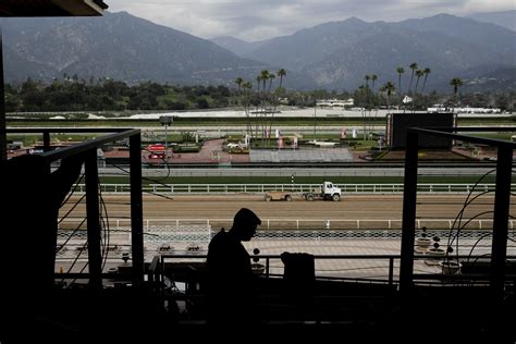 Santa Anita racetrack cancels races indefinitely after 21st fatality