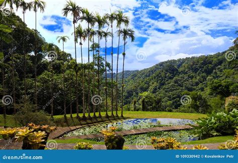 The Garden of Balata, Martinique Island, French West Indies. Stock ...