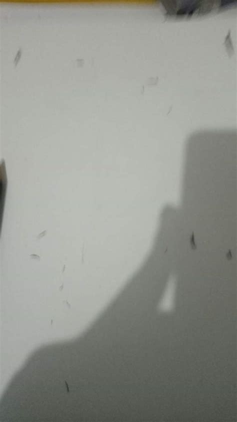 I Drew Naked Hagakure My Hero Academia Amino