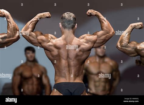 Lower Back Muscles Bodybuilding