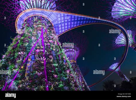 Singapore Gardens By The Bay Night