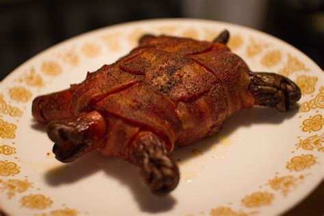 Bacon Wave Gallery Bacon Turtle