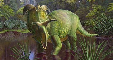 Massive New Horned Dinosaur Fossil Discovered In Montana