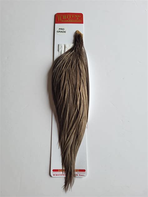 Whiting Pro Grade 1 2 Cape White Dyed Dark Dun Premier Angling