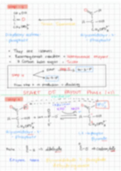 Solution Glycolysis Pathway Studypool