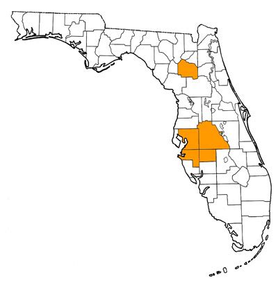 Bone Valley Florida Map - Map Of Western Hemisphere