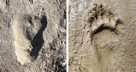 Ancient Footprint Found In Africa Linked To Unknown Human Ancestor