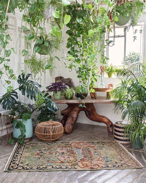 Pin By Barbara B On Jungalows Garden Plants Design Traditional Rugs