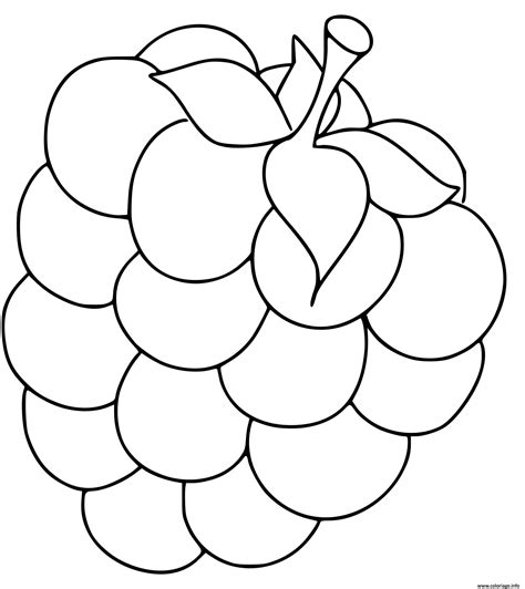 Coloriage Une Framboise Dessin Maternelle Imprimer