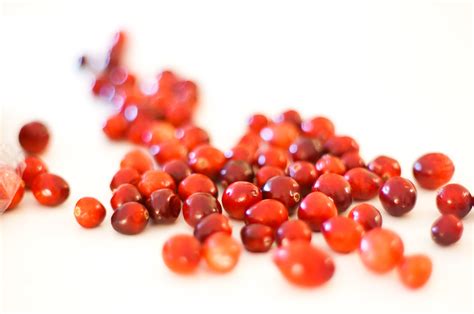 phenols  food sensitivities elizma lambert