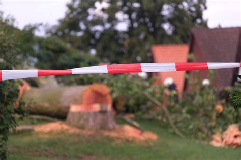 Harz Frau Von Baum Erschlagen Orkan Emir Fordert Erstes Todes Opfer