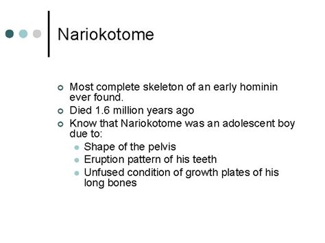 Chapter Homo Erectus Nariokotome The Bones