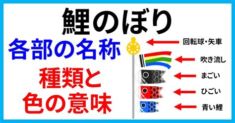 【鯉のぼり】各部の名称とは？種類（まごい・ひごい・吹き流し）と色の意味