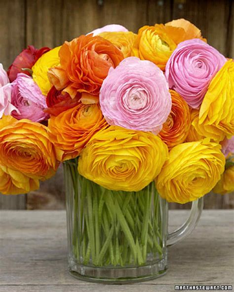 Ranunculus Arrangements Martha Stewart