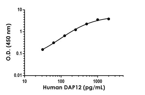 Dap Pair Bsa And Azide Free Abcam