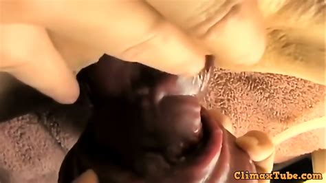 Husband Helps And Films Wife Fucking Creamy Gryphon Dildo