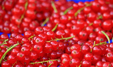 Free Photo Berries Food Fresh Fruit Free Download Jooinn