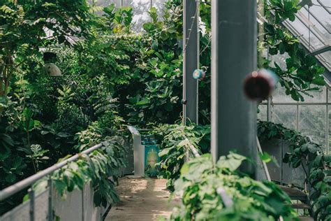 Afrodita - Afrodita Beauty Shop