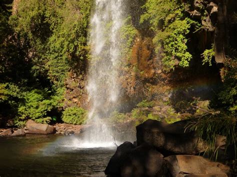 Small Waterfall Flowing Of A Basalt Rock In A Deep Forest Stock Photo