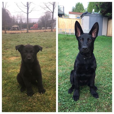 8 weeks vs. 16 weeks! I wonder if he gets satellite radio on those