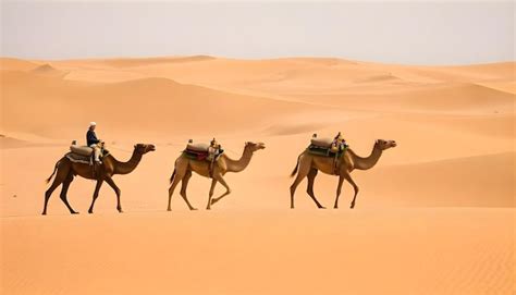 Camel Caravan Going Through The Desert With Camels In The Background