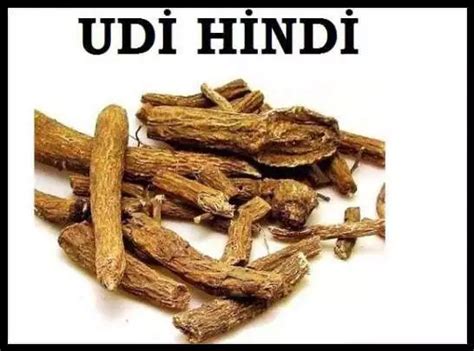 Udi Hindi Yağı Faydaları Ve Kullanımı | Duo Diyet