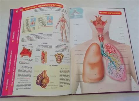 Atlas Visual El Cuerpo Humano Anatomía Y Funciones excelente en venta