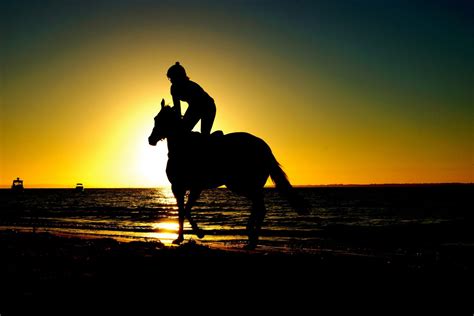 See America on These 5 Horseback Riding Tours | Drive The Nation