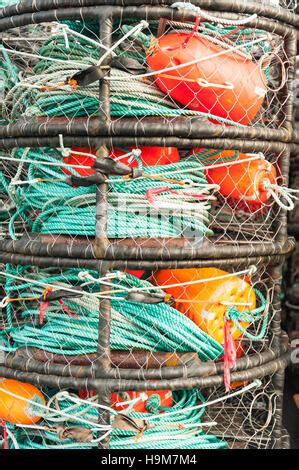 Lobster And Crab Traps With Buoys Stock Photo Alamy