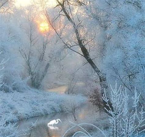Frost Dream Meaning Linc Heap Haber Ve Blog