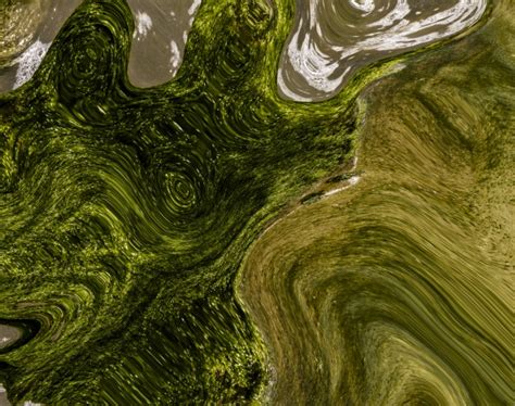 green abstract swirl  stock photo public domain pictures