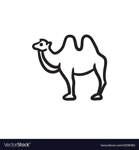 Top 999 Camel Drawing Images Amazing Collection Camel Drawing Images