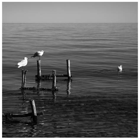 Fabricio Castro Fotografía _ Blanco & Negro (@fabriciocastro_fotografia