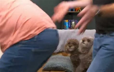 Gogglebox Turns X Rated As Stephen Makes Racy Sex Confession Leaving Daniel Red Faced Daily Star