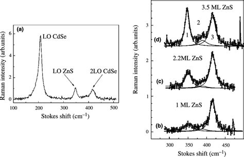 A Raman Spectrum Of Cdsezns Qds With A Shell Thickness 34 Ml Bd The Download Scientific