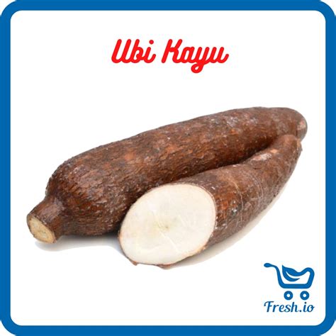 jual ubi kayu singkong shopee indonesia