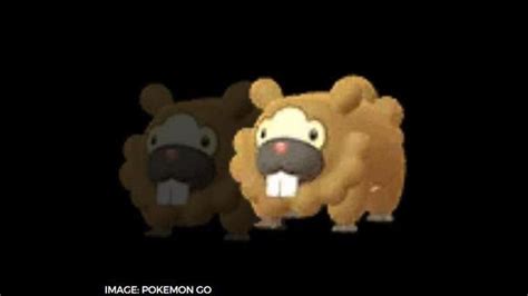 How To Get Bidoof In Pokemon Go Catch Shiny Bidoof In The Recent Raid