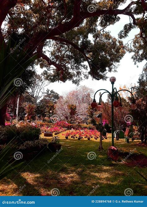 Botanical Gardens, Kerala, India Stock Photo - Image of travel, complex