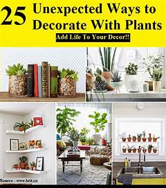 Ways To Decorate With Plants