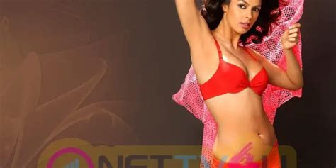 Actress Mallika Sherawat Hot Images 567923 Galleries HD Images