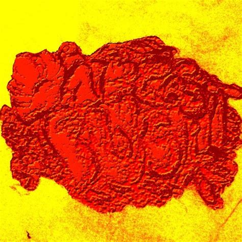 Stream Pinky Ass Clapping By June Kim 23 Listen Online For Free On SoundCloud