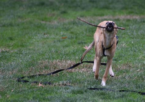 The Kingston Daily Freeman Archive: December 14, 1974 3