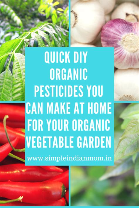 Quick DIY Organic Pesticides You Can Make At Home For Your Organic ...