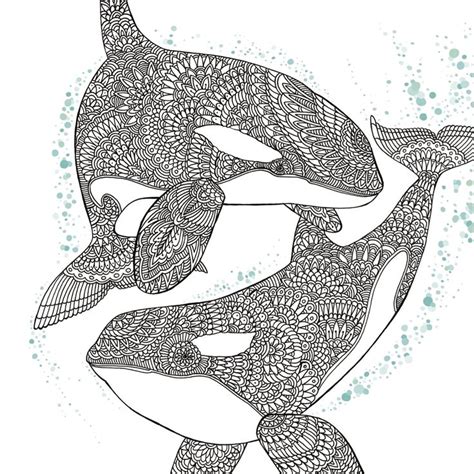 Coloring Pages Orca Whale