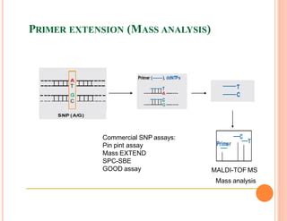 SNP Genotyping Techniques and Epigenetic Markers.pptx