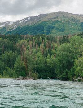 Rafting in Alaska: Float Down the Beautiful Kenai River